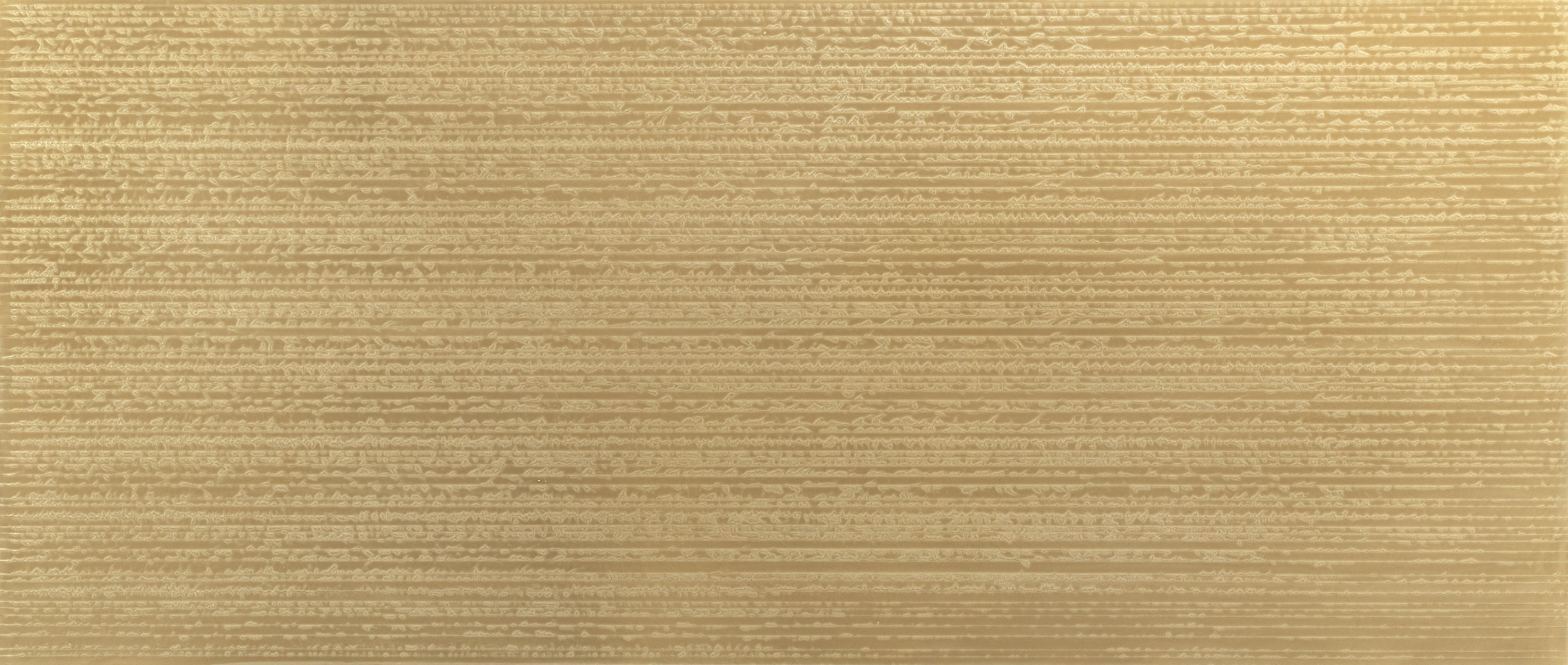 WHITE OAK X0579B